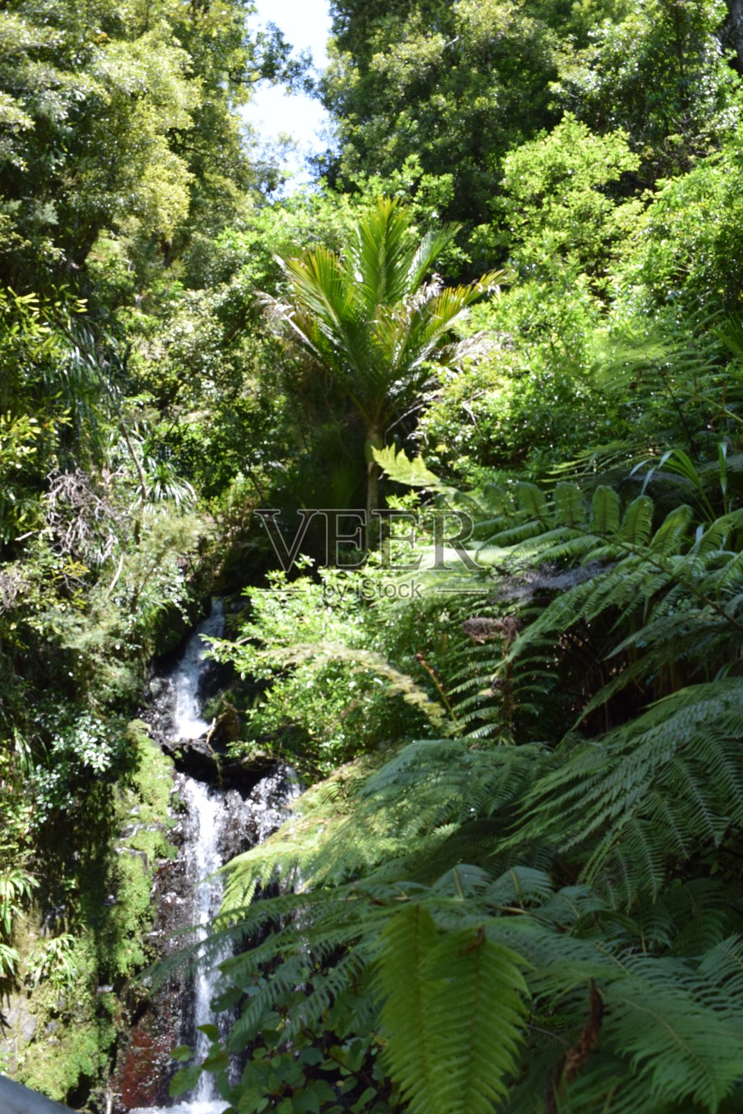 奥霍普海滩及其周边照片摄影图片