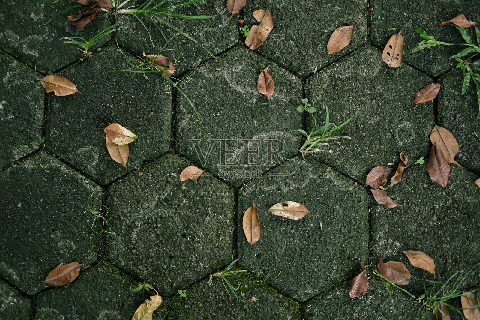 铺路砖面照片摄影图片