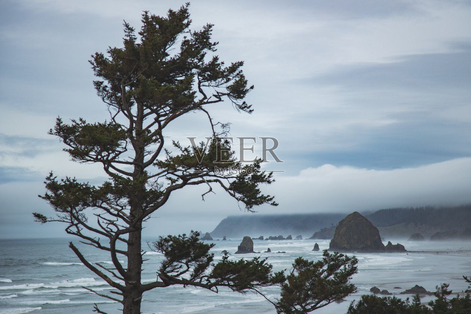 埃科拉州立公园，坎农海滩，克拉特索普县，俄勒冈州照片摄影图片