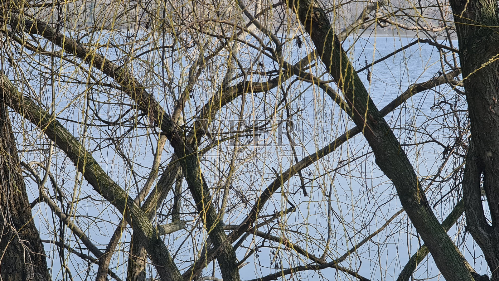 冬日的湖景照片摄影图片