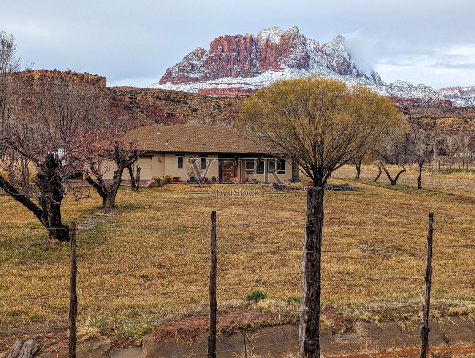在犹他州罗克维尔，以锡安国家公园为背景的岩石花园的牧场上，柳树上露出了新的春芽照片摄影图片