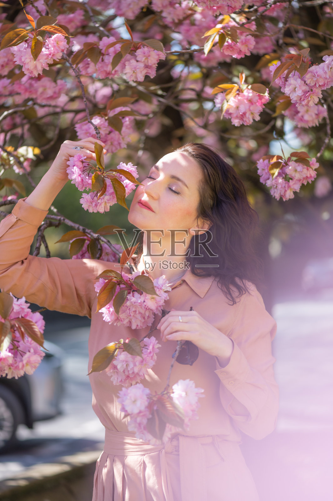 Beautiful woman under sakura tree照片摄影图片