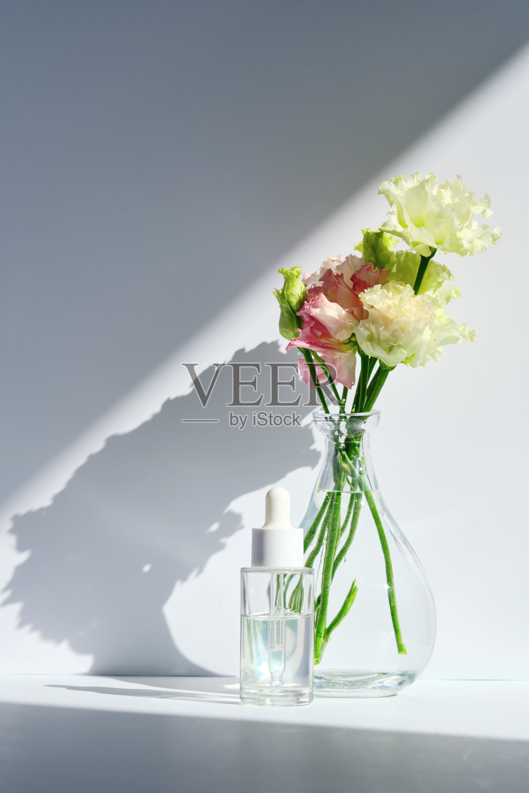 血清用滴管带春花。照片摄影图片