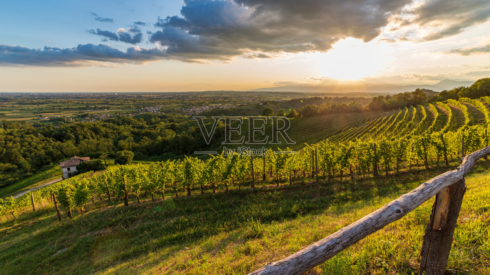 色彩斑斓的夕阳在Savorgnano del Torre的葡萄园照片摄影图片