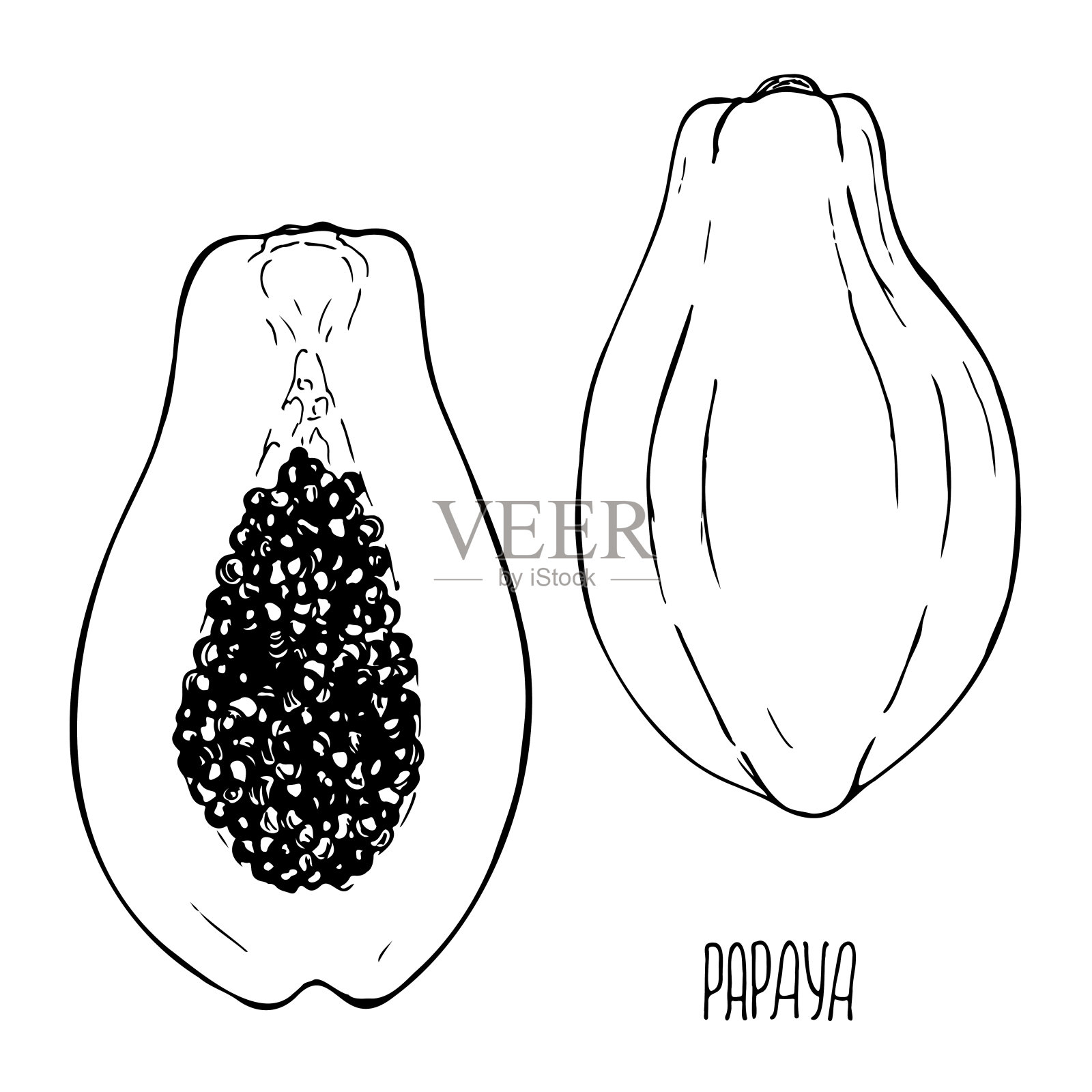 木瓜黑白矢量集隔离在一个白色的背景。插画图片素材