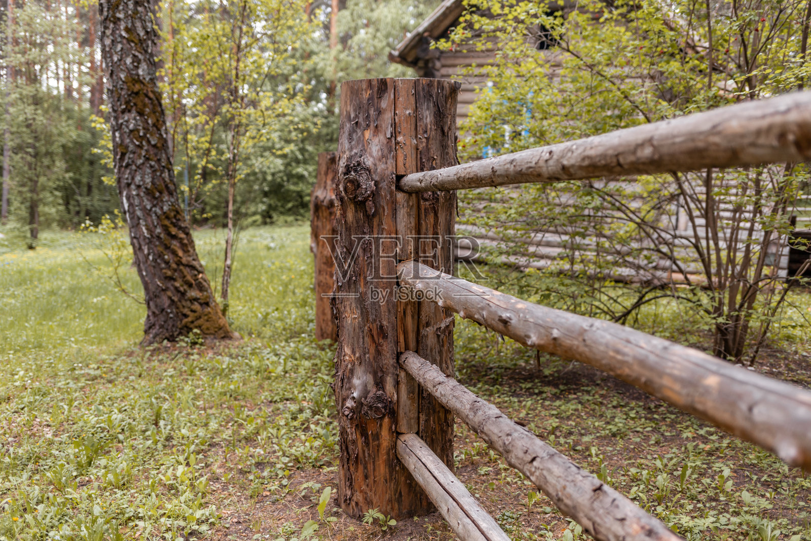 在森林中围起一座老木屋的大木桩照片摄影图片