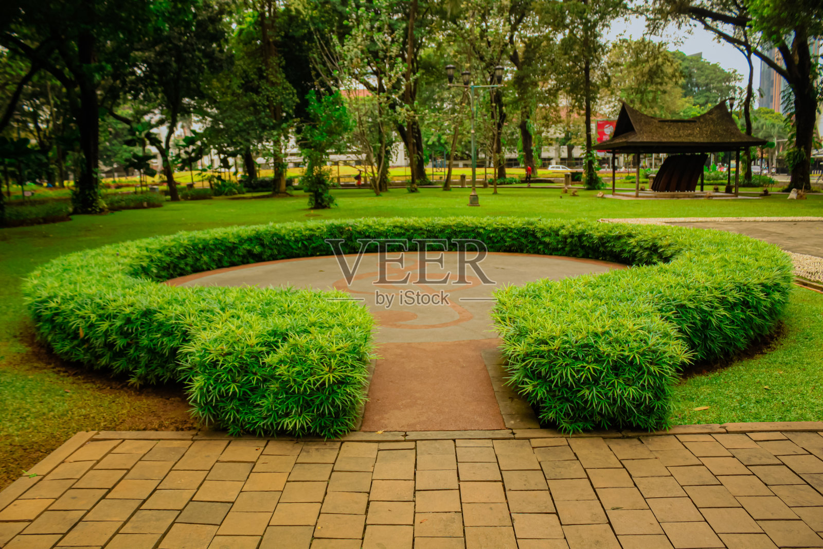 绿色植物形成城市花园的圆形照片摄影图片