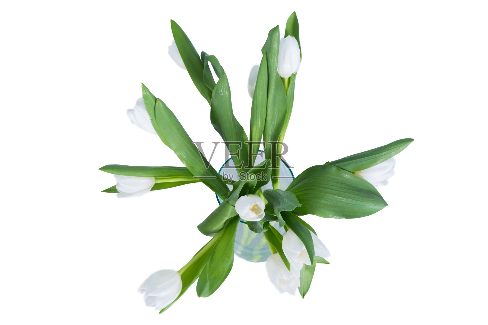 美丽的鲜花作为礼物，花瓶，贵重物品照片摄影图片