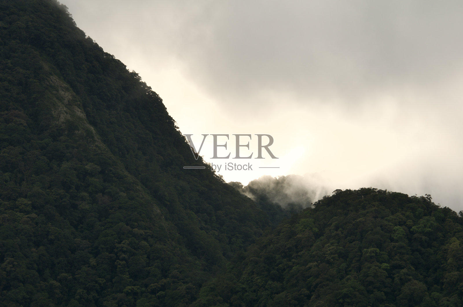 Ulu Masen森林景观，印度尼西亚亚齐照片摄影图片