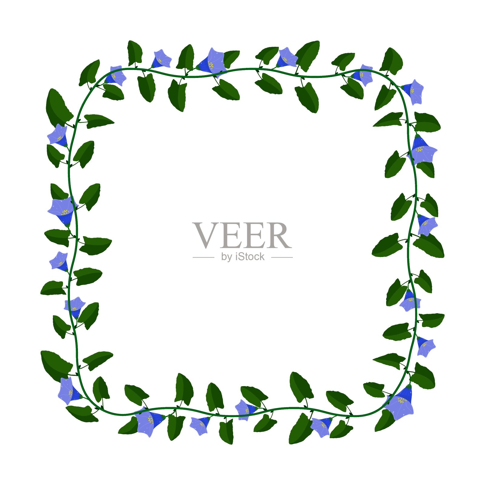 绿色开花藤本植物框架与蓝色的花。方形边框用于贺卡装饰，邀请卡。彩色矢量隔离在白色背景插画图片素材