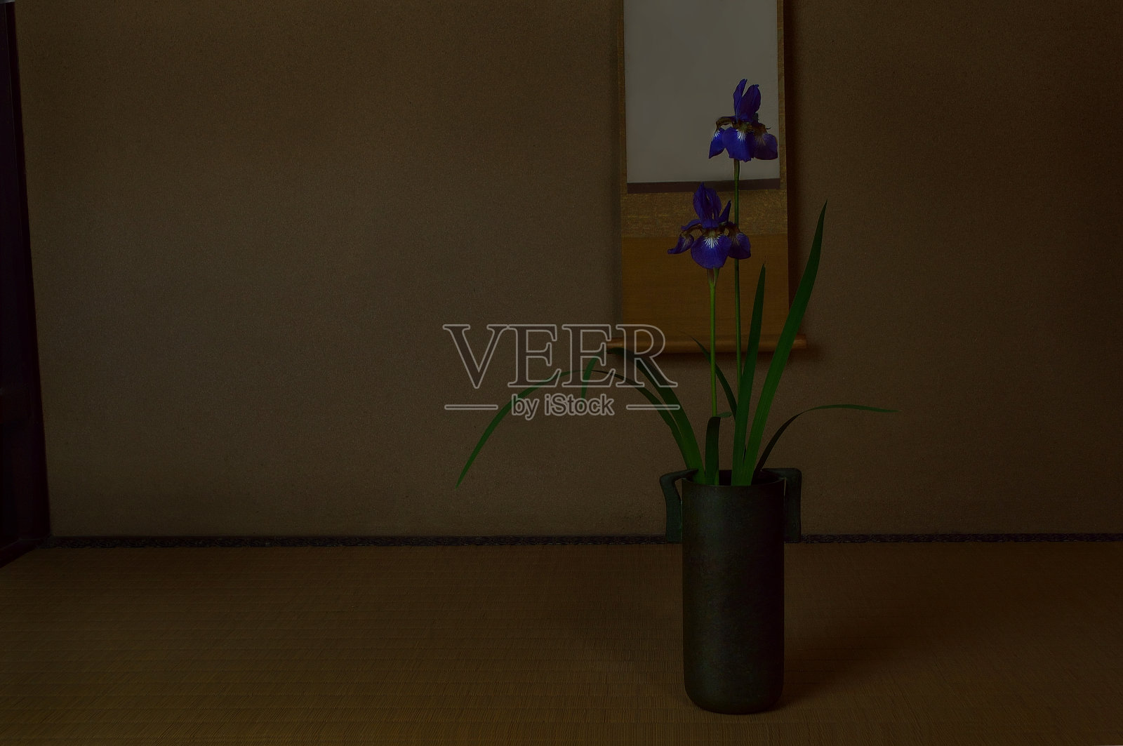 花瓶里的鸢尾花照片摄影图片