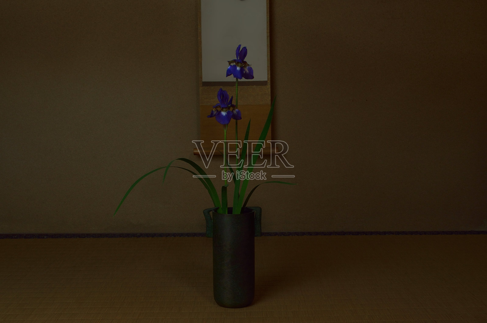 花瓶里的鸢尾花照片摄影图片