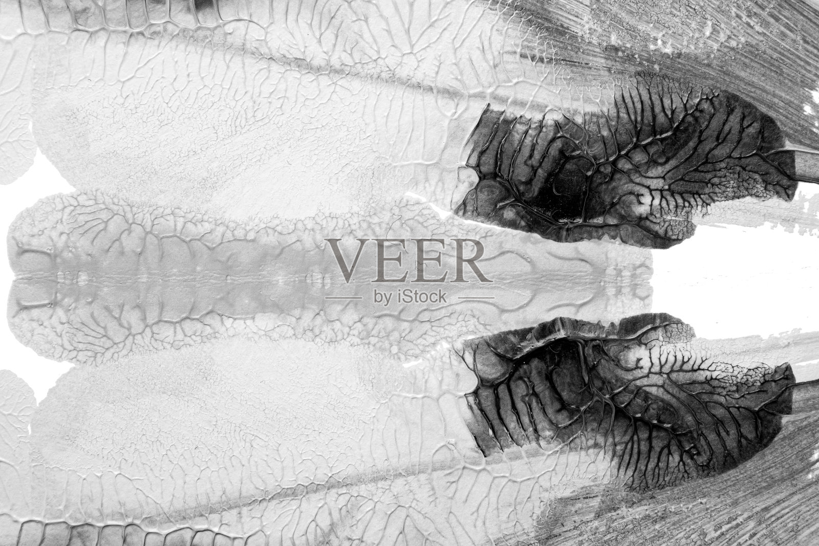 用罗夏墨迹法在白纸背景上画黑白抽象丙烯色纹理照片摄影图片