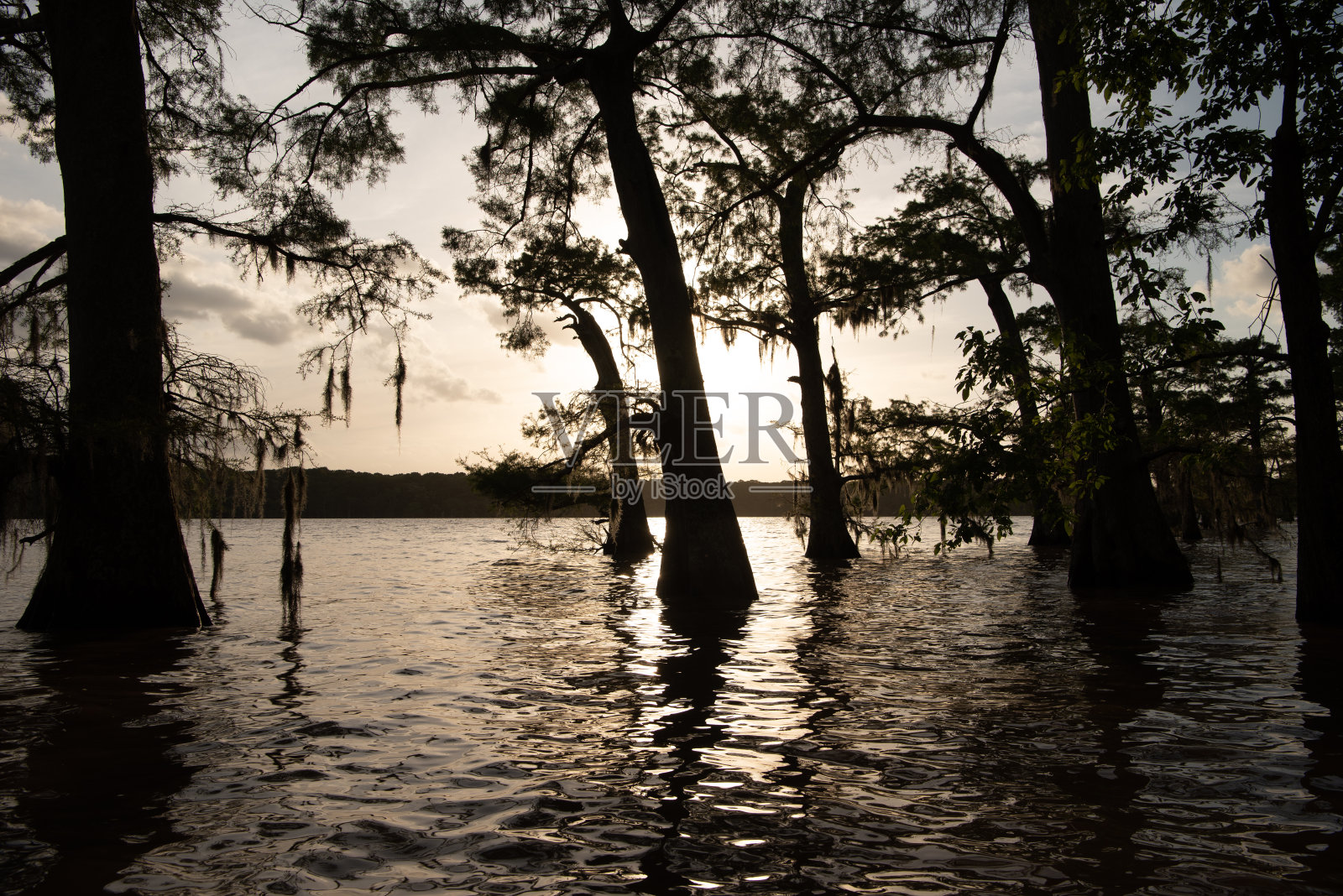 路易斯安那州照片摄影图片