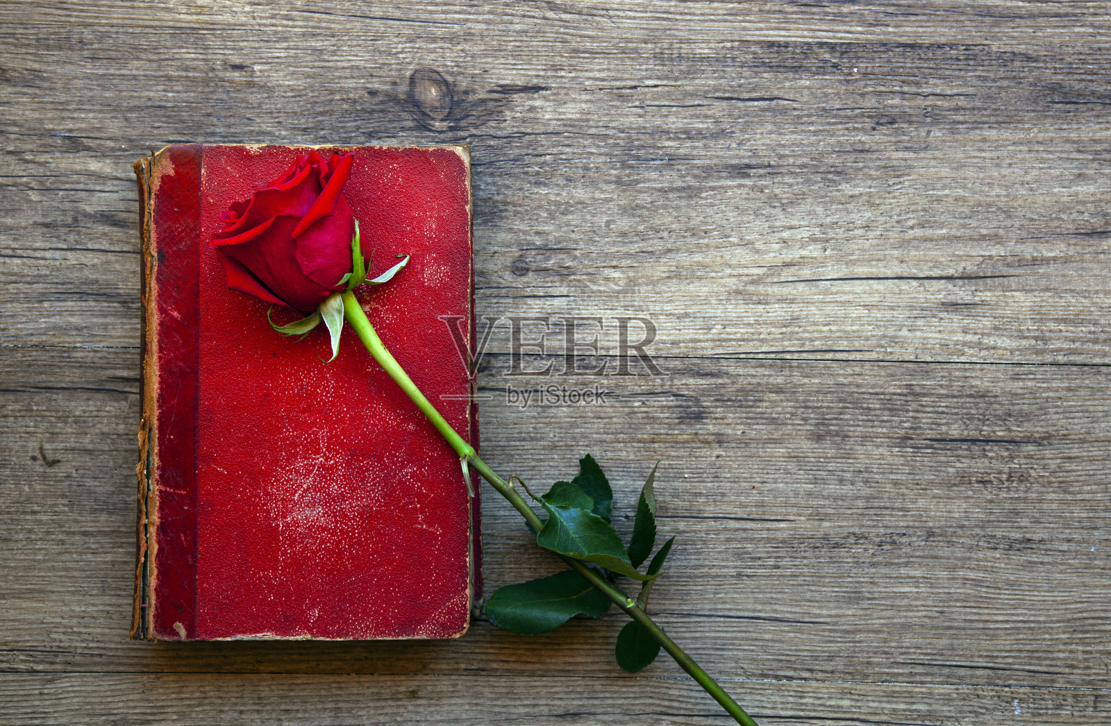 红书和玫瑰花照片摄影图片