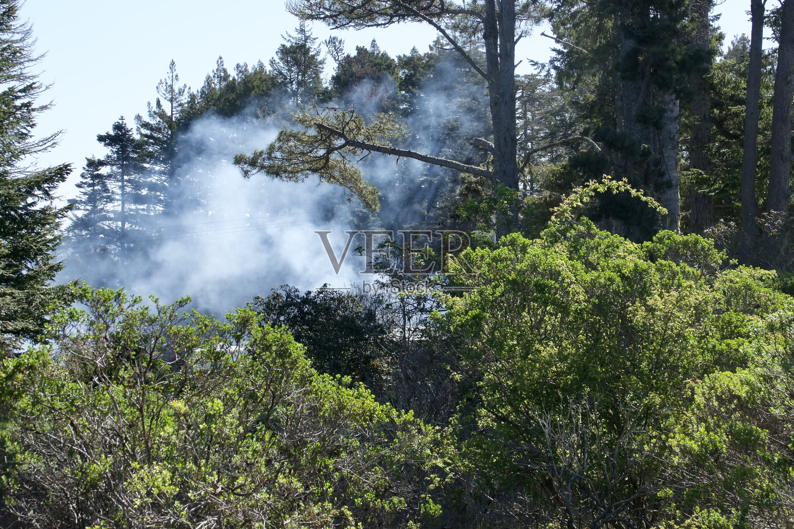 山上森林大火冒出滚滚浓烟照片摄影图片