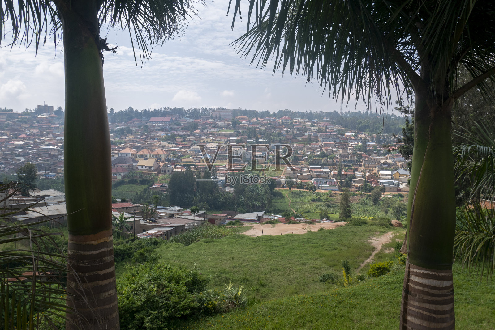 透过树木眺望基加利照片摄影图片
