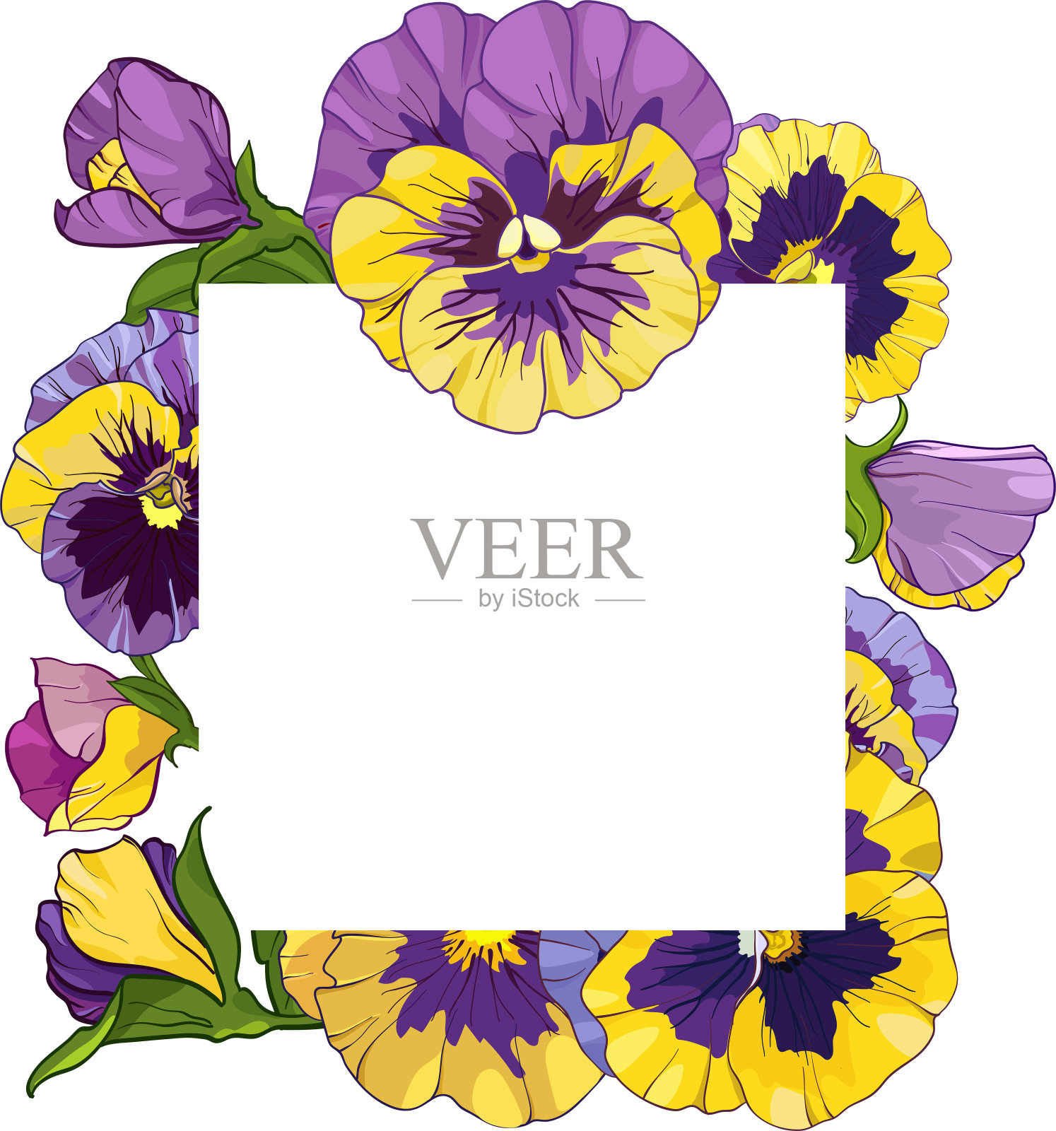 方框，三色堇花，黄紫花绿叶点缀插画图片素材