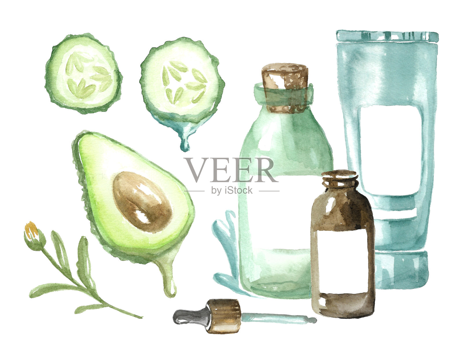 一套用于面部皮肤护理的天然生态精华。插画图片素材