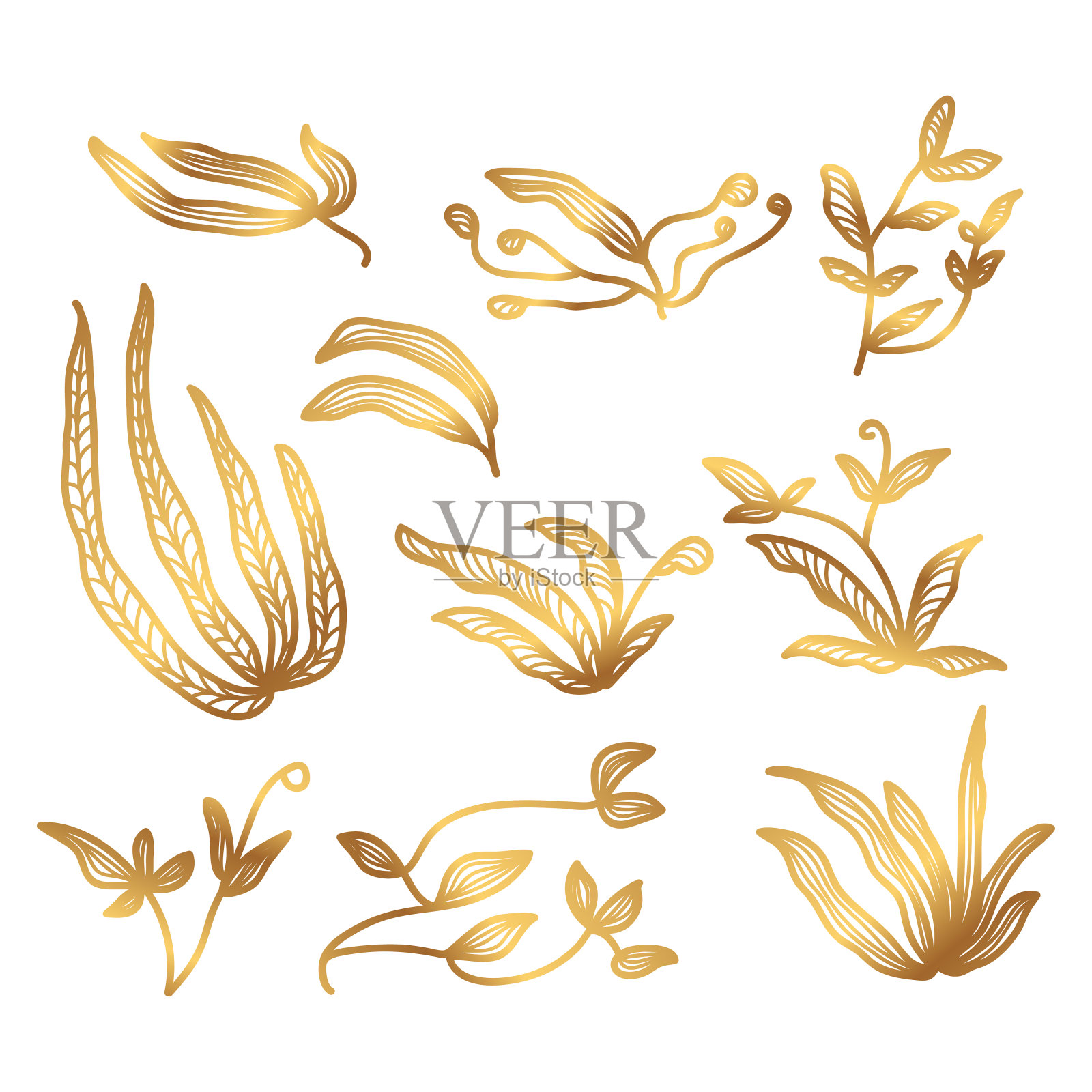 金色花卉矢量插图与线的风格。奢华手绘花插画图片素材