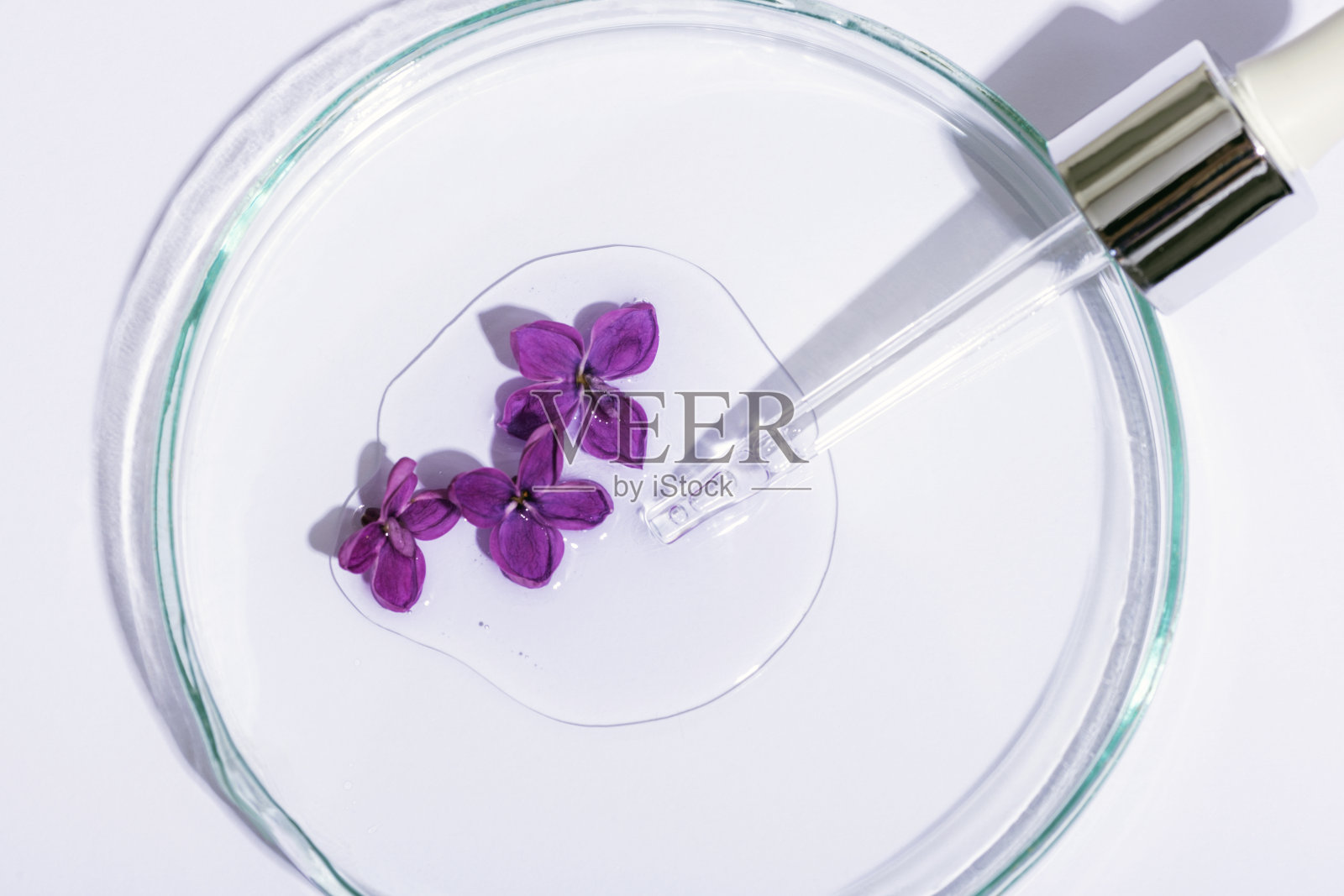 移液管与血清，油，凝胶与丁香花在白色背景。护肤、天然美容产品理念。俯视图照片摄影图片
