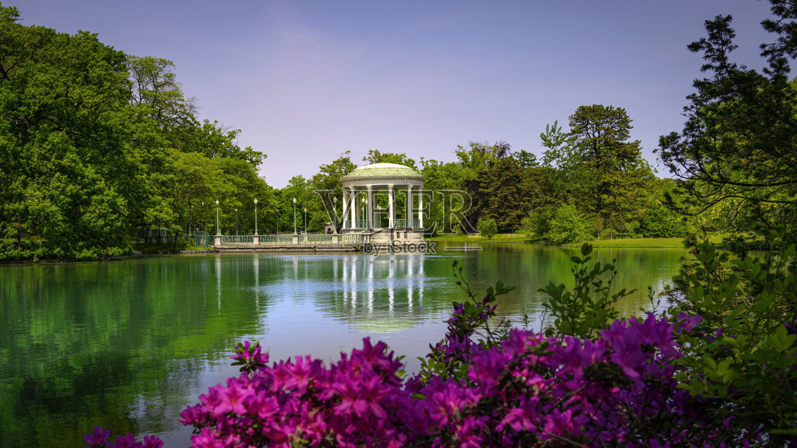 亭子里，粉红色的杜鹃花，水映在池塘里照片摄影图片