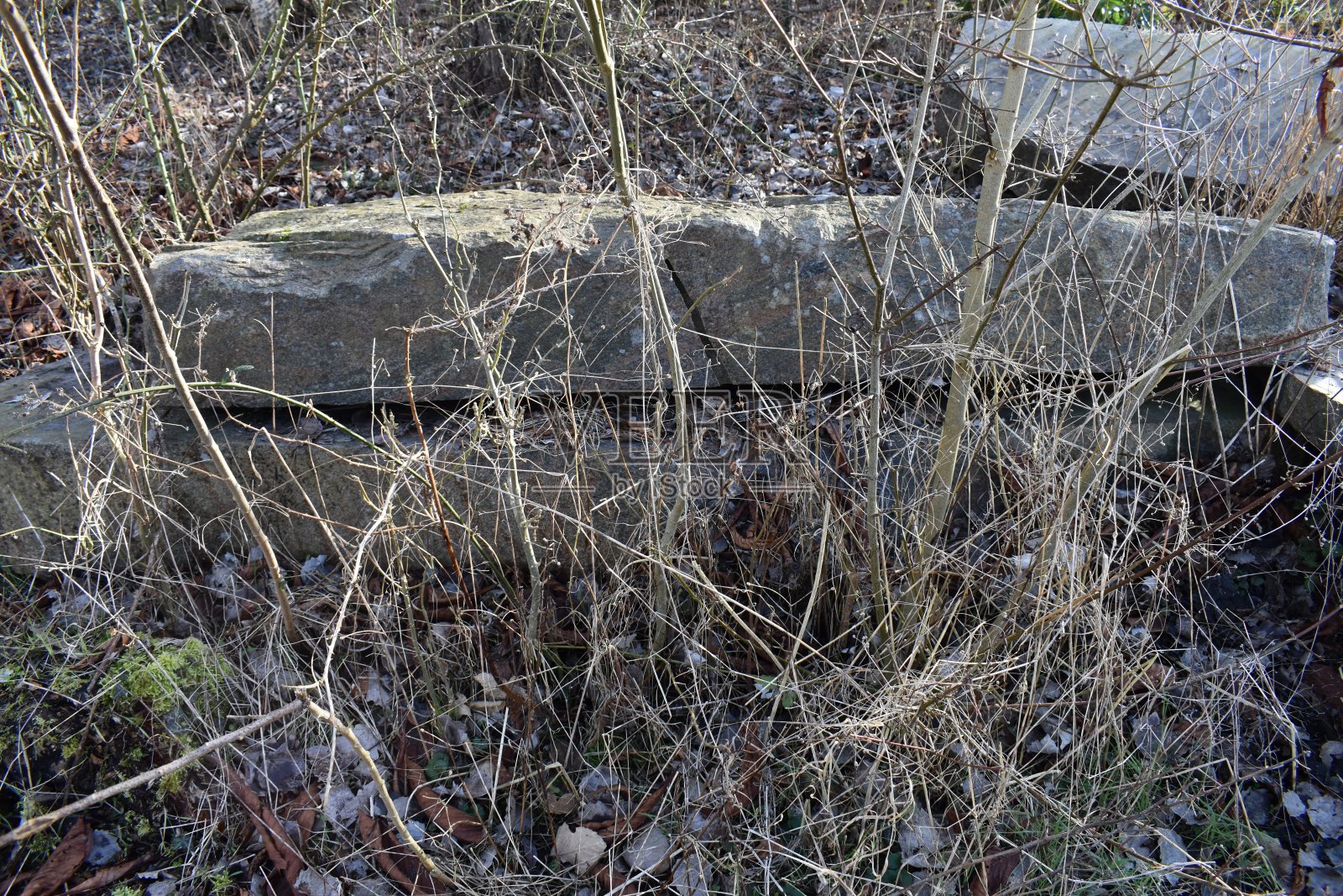 层状花岗岩块后面枯萎的草-冬天。照片摄影图片