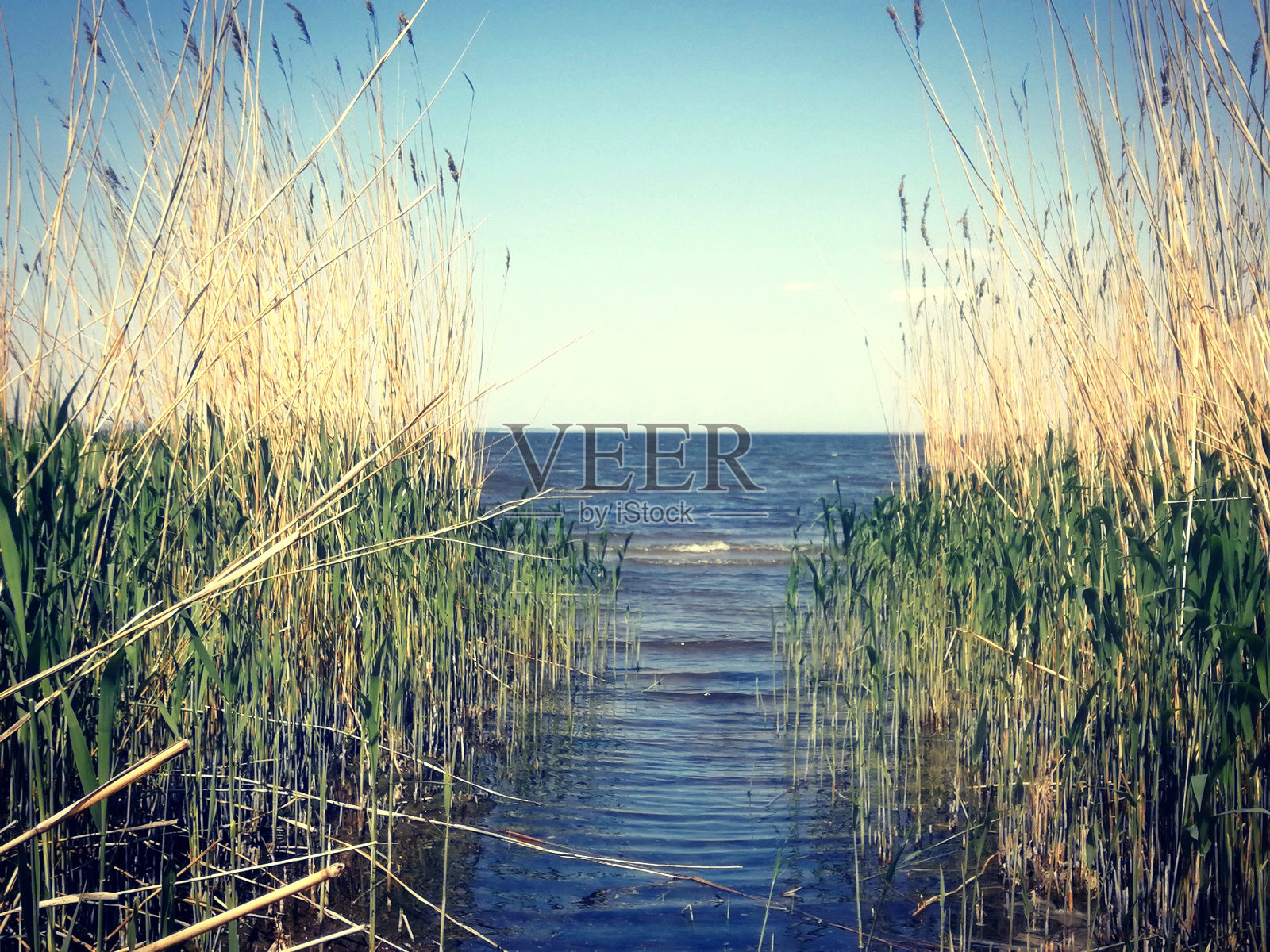 夏天照片摄影图片