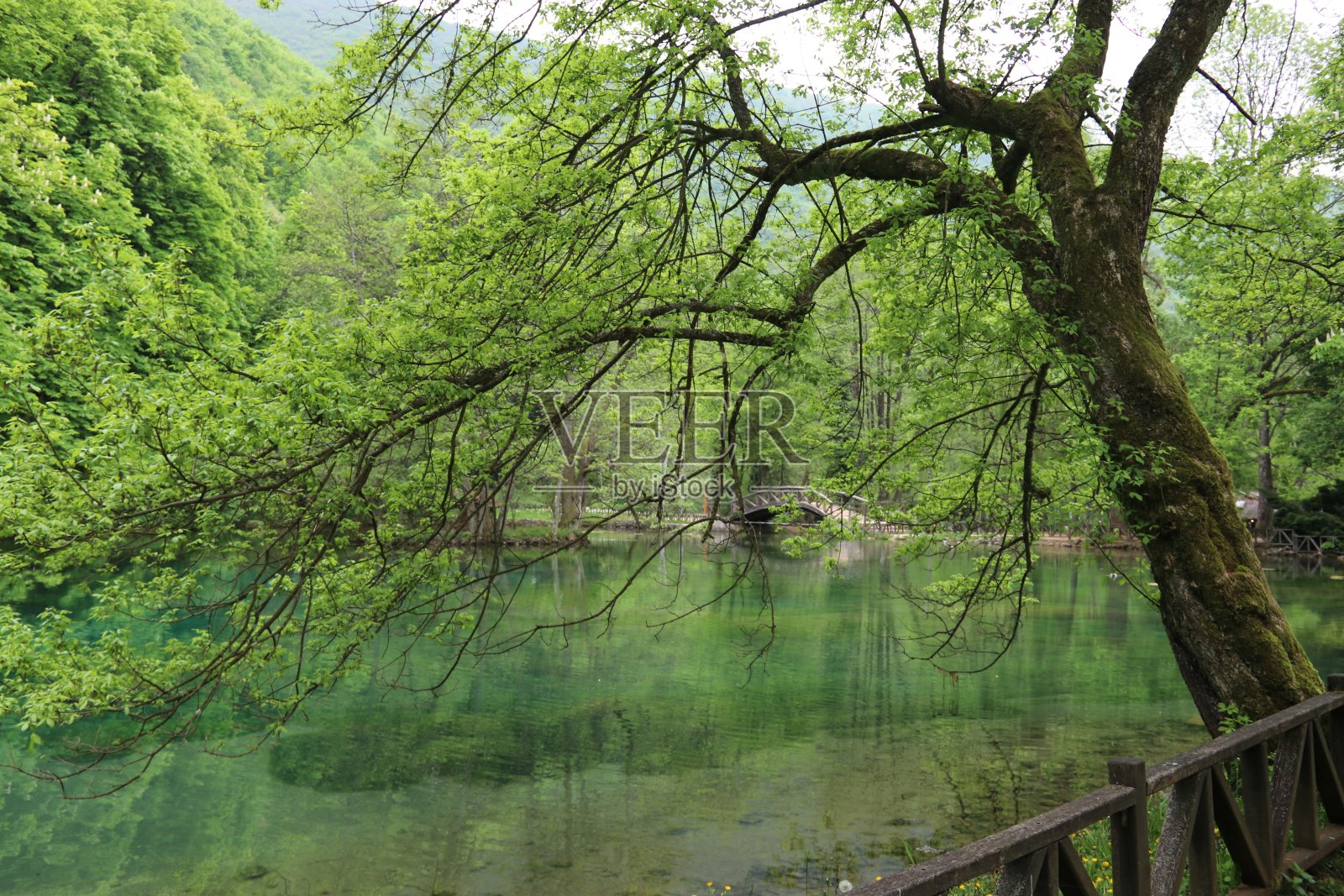一个很好的休息场所，绿树成荫，春光明媚照片摄影图片