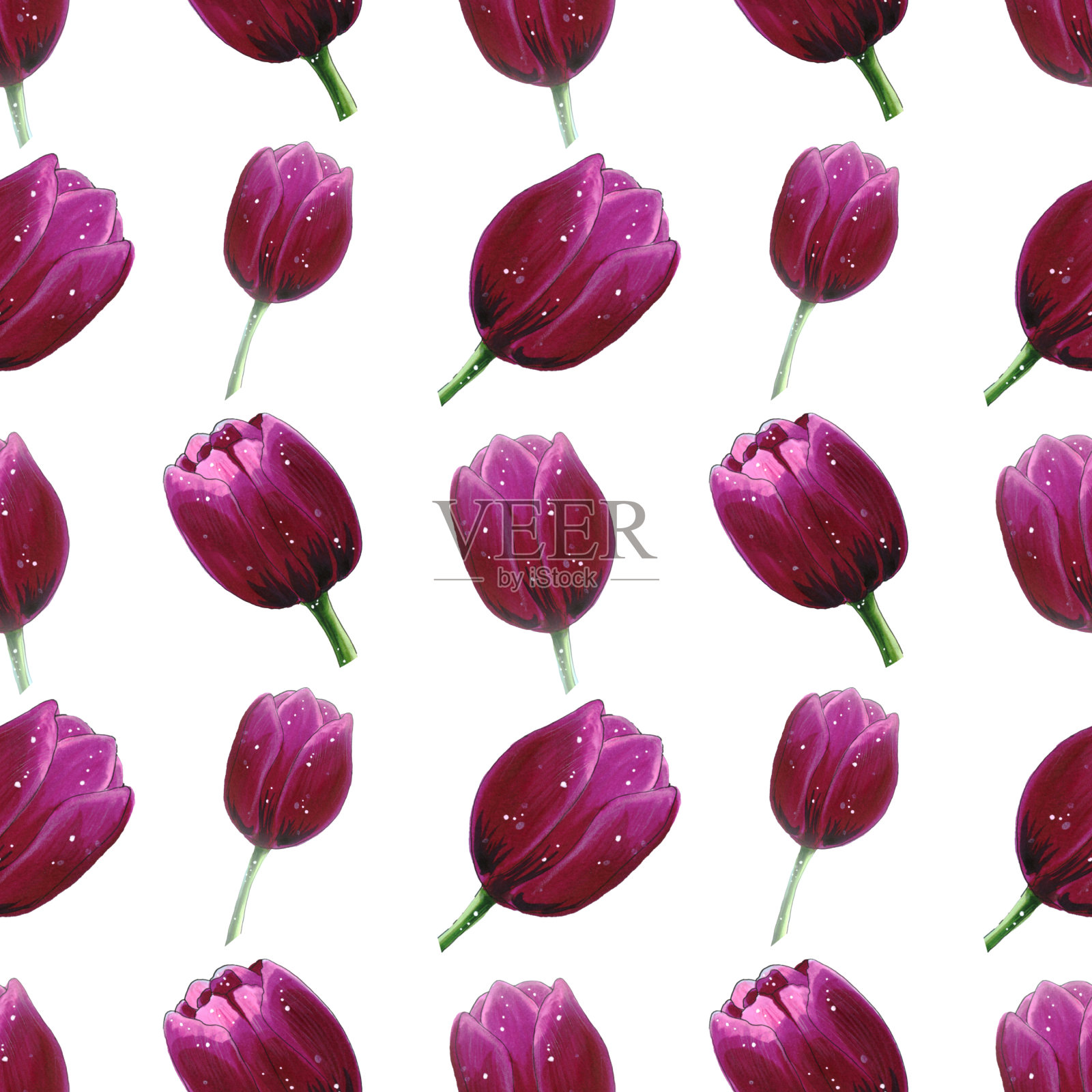 美丽的盛开郁金香水彩无缝花卉图案隔离在白色的背景插画图片素材