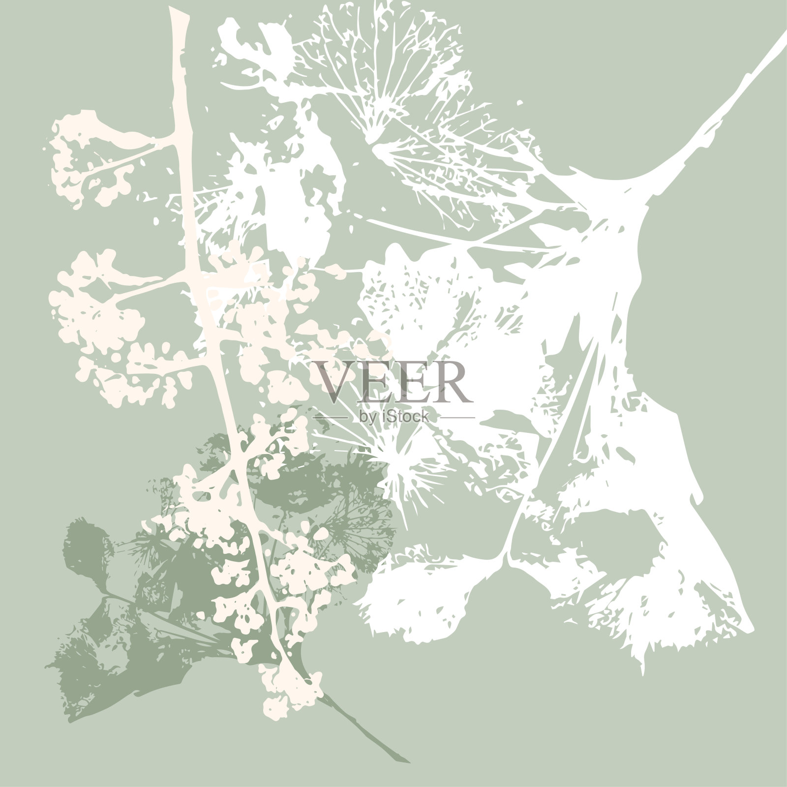 布朗-蕨叶- 2512282插画图片素材