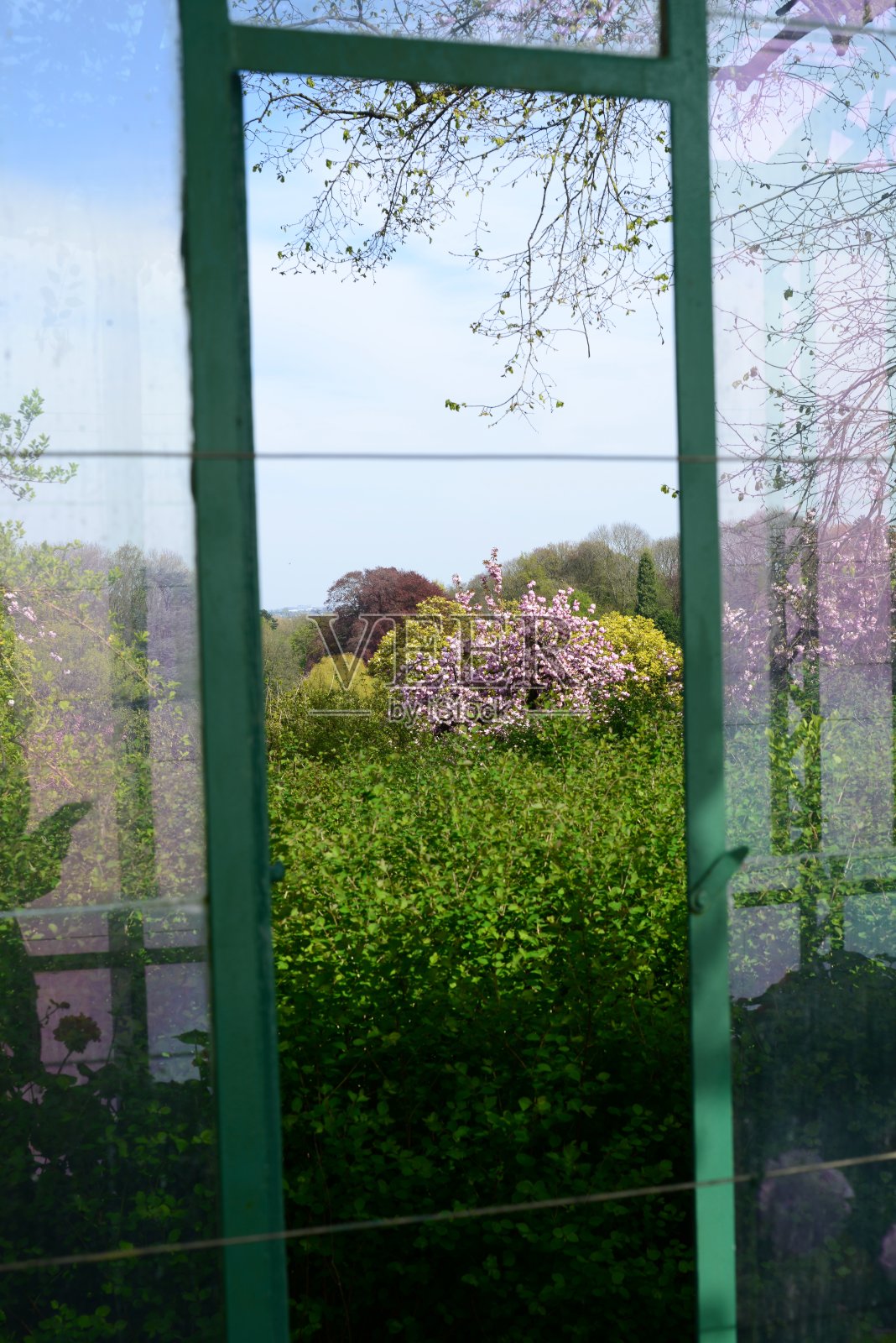 从温室内到室外的景色照片摄影图片