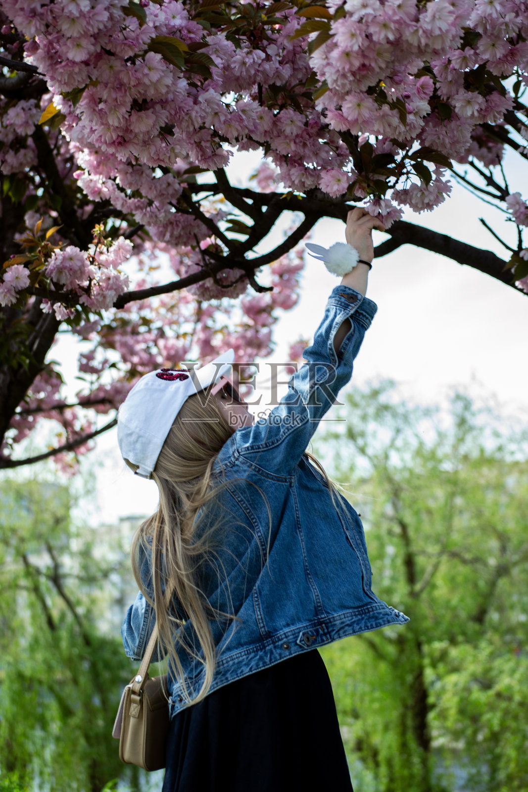 一个女孩在樱花公园里照片摄影图片