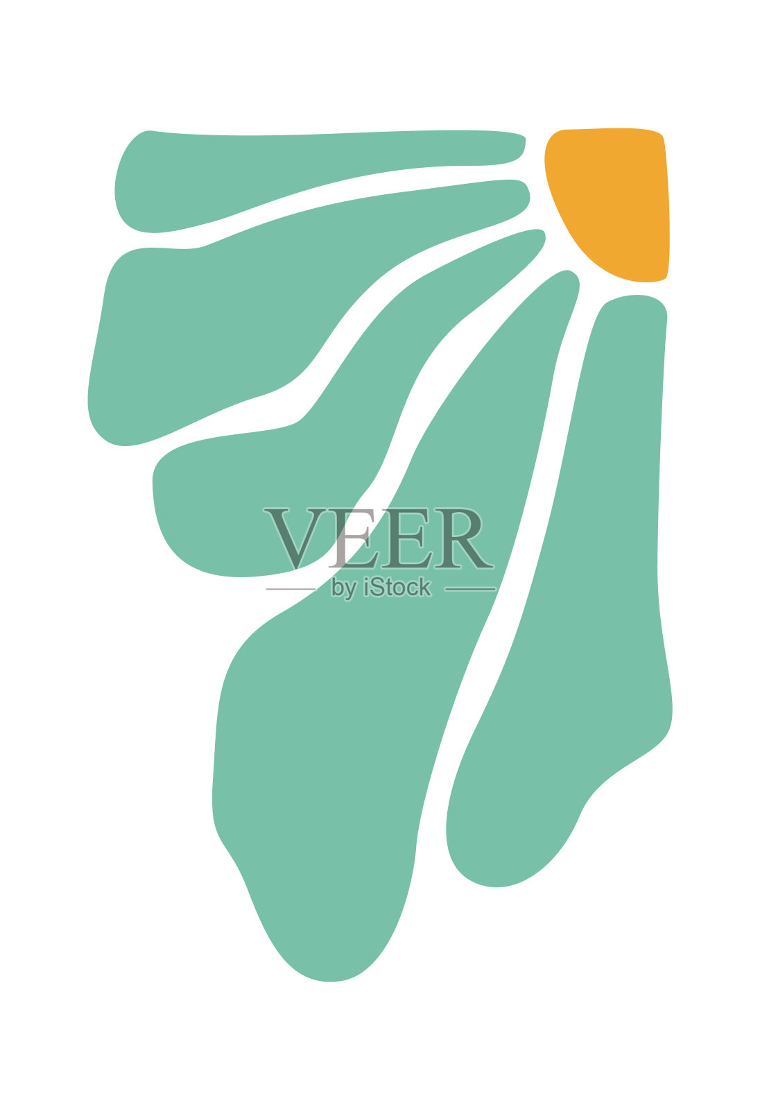 摘要雏菊插画图片素材