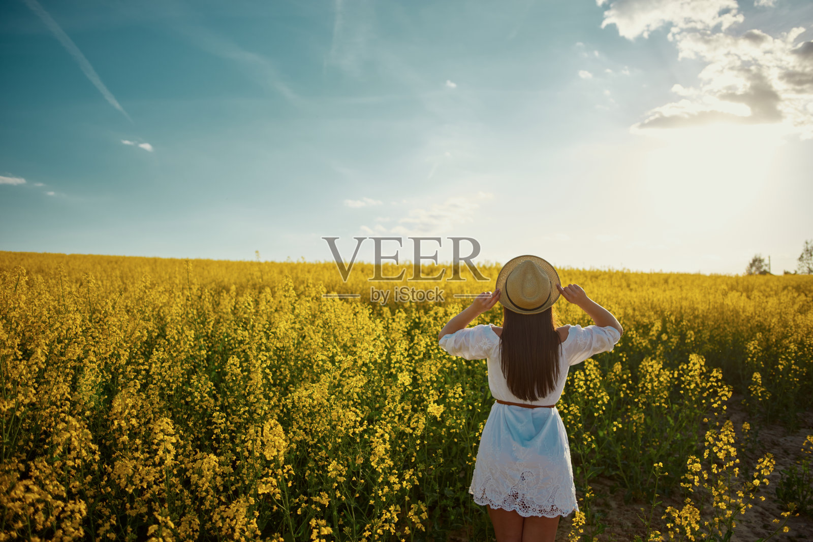 在夏天的某一天玩得很开心照片摄影图片