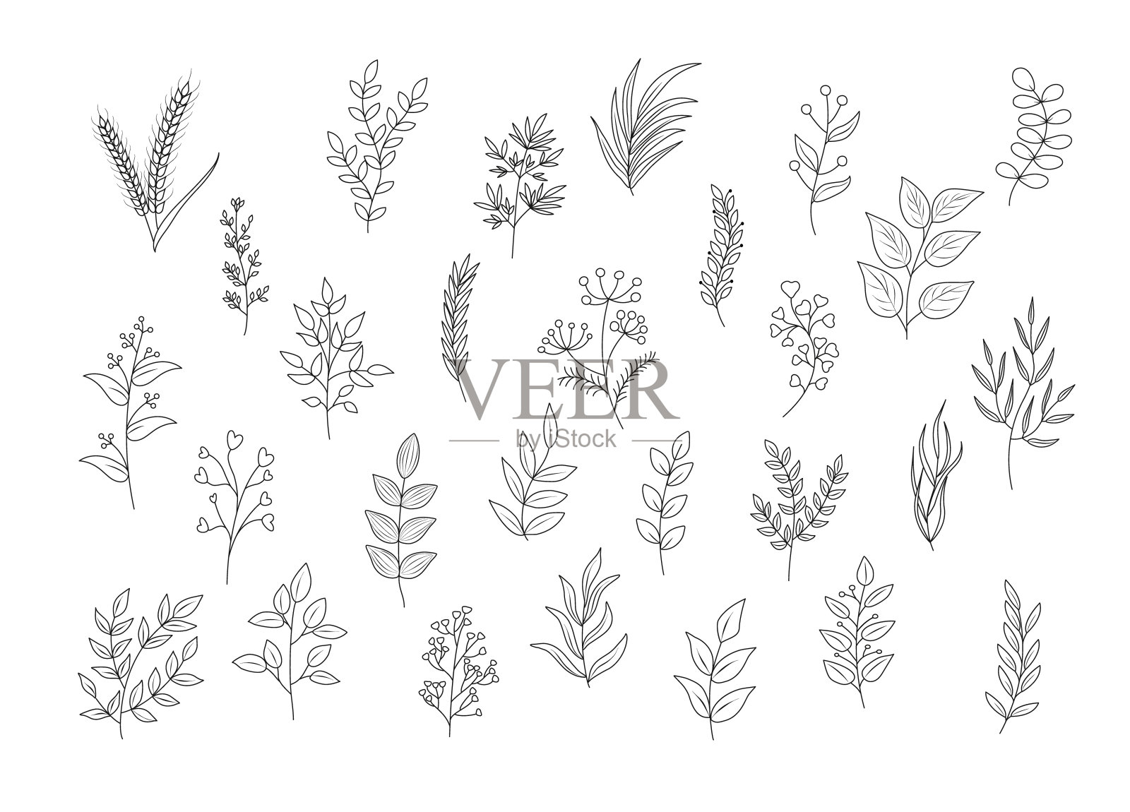 花卉手绘植物元素集。向量插画图片素材