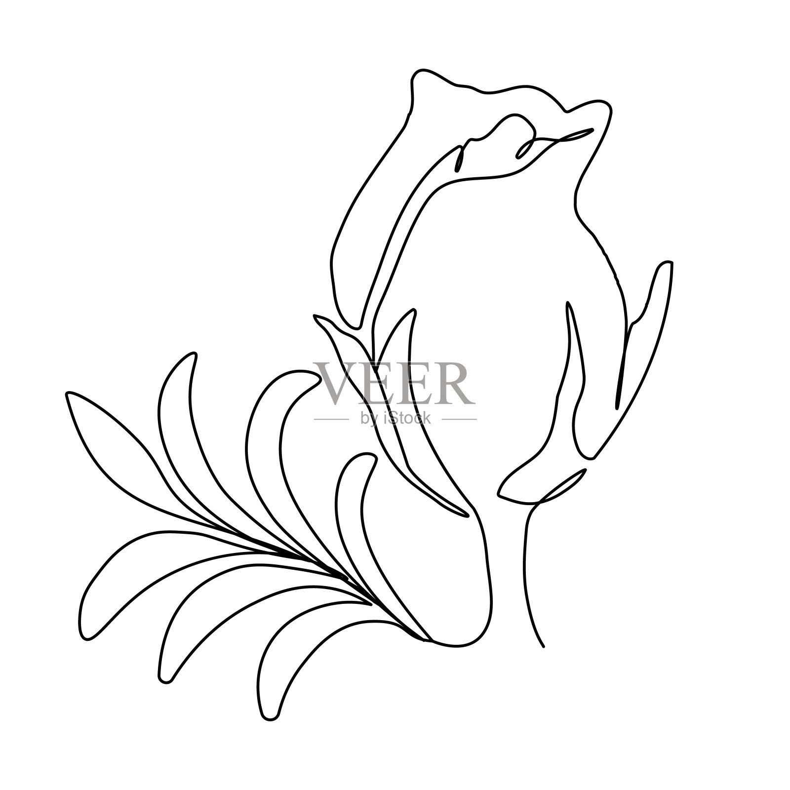 一线条画美女的脸与玫瑰。矢量图插画图片素材