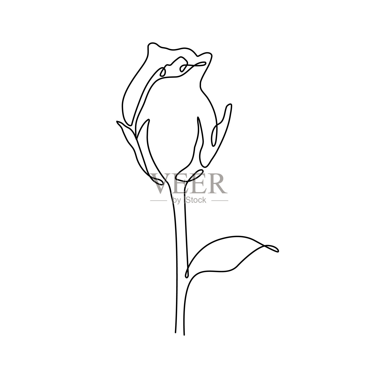 一线条画美女的脸与玫瑰。矢量图插画图片素材