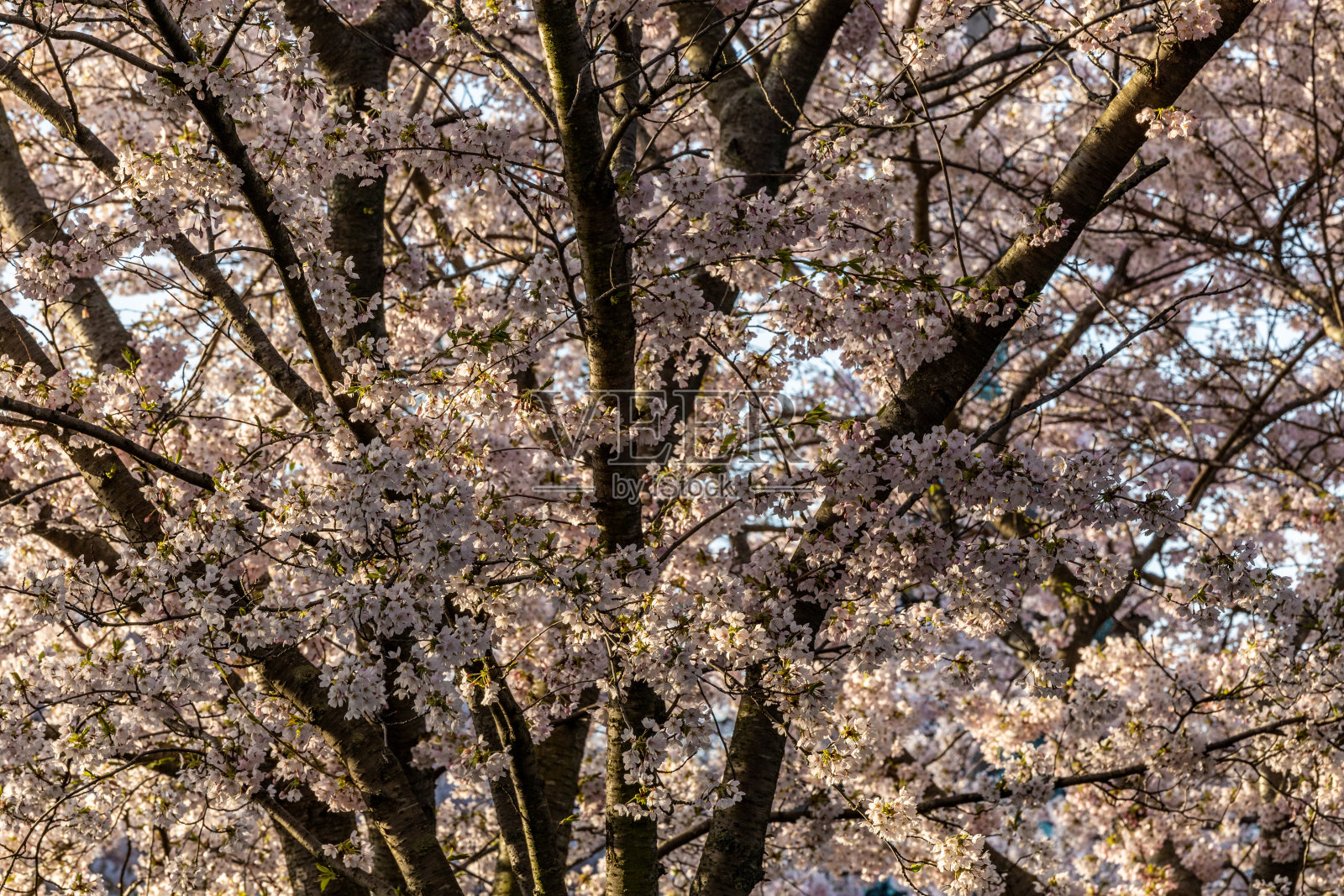 丹麦哥本哈根照片摄影图片