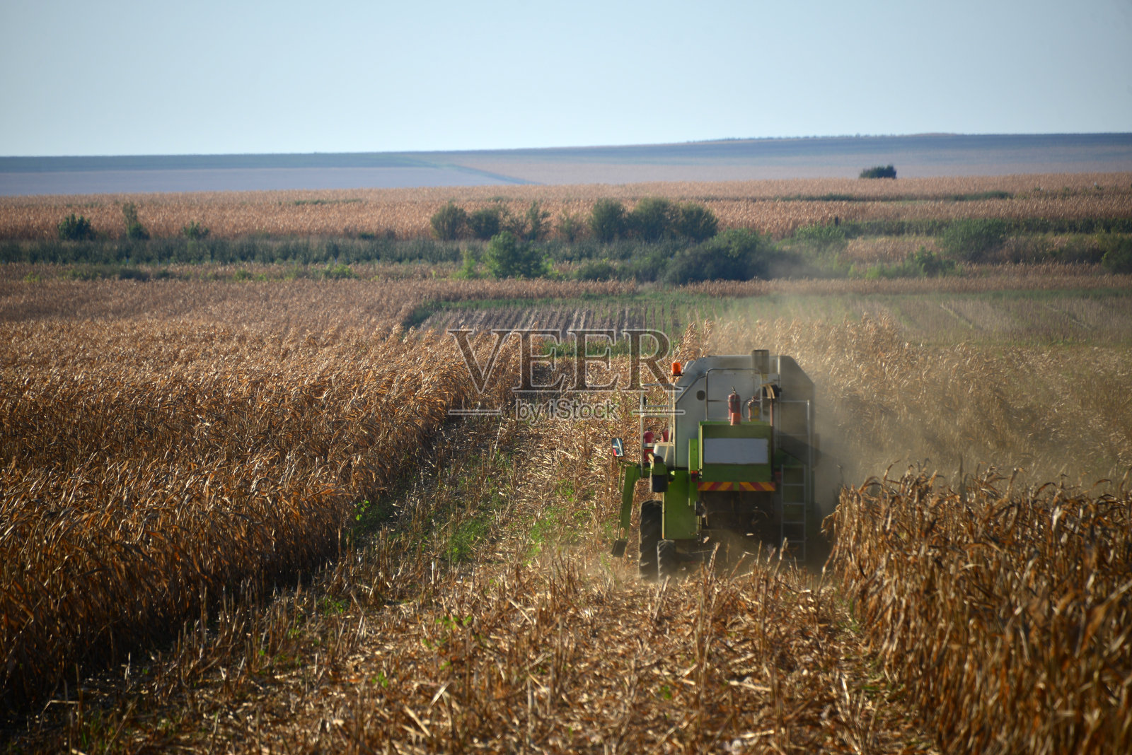 玉米收割机收割庄稼。照片摄影图片