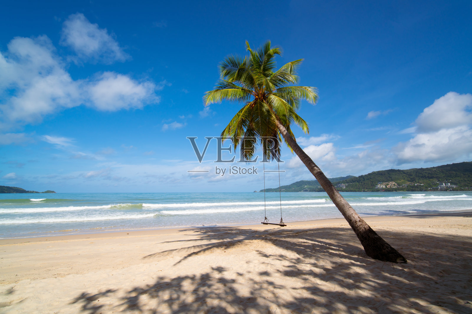 泰国普吉岛海滩上的椰子树照片摄影图片