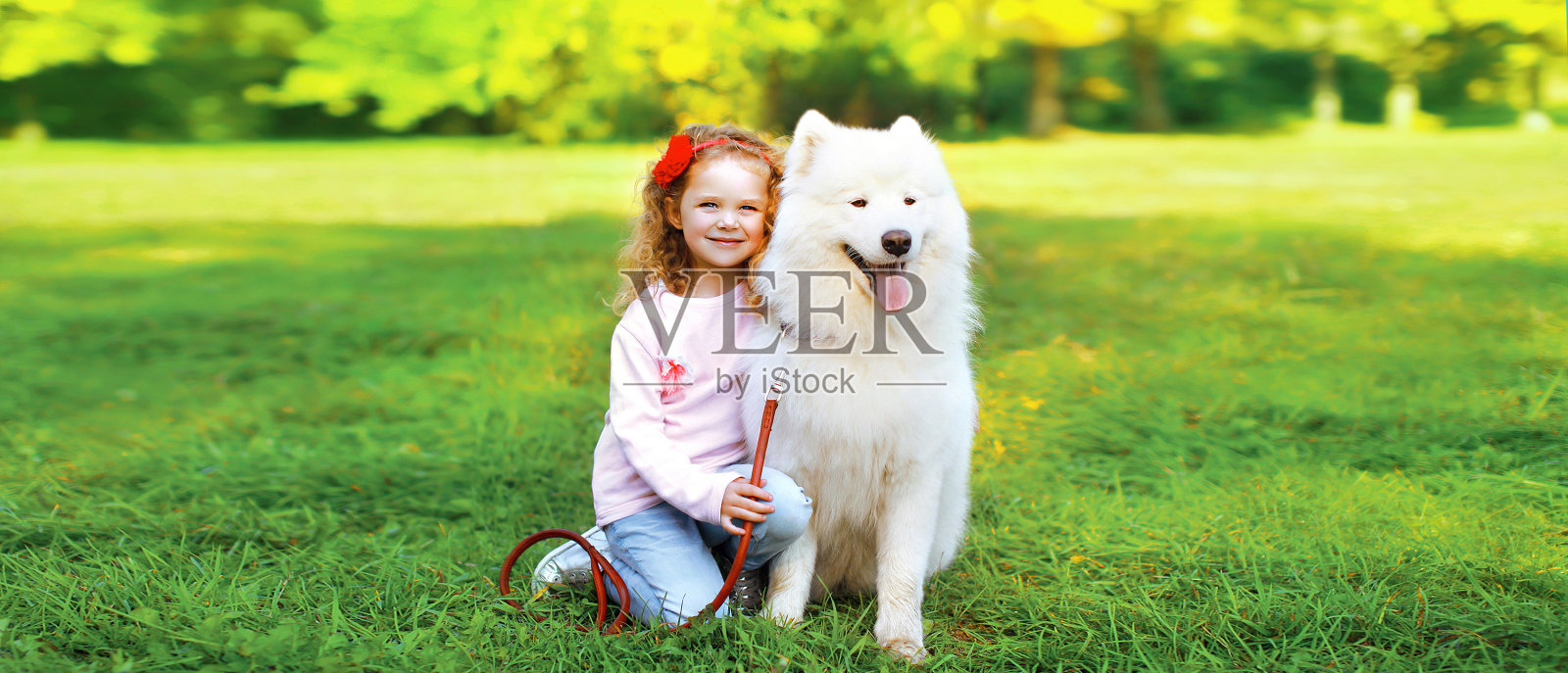 在阳光明媚的夏日公园里，孩子和白色萨摩耶犬在草地上的合影照片摄影图片
