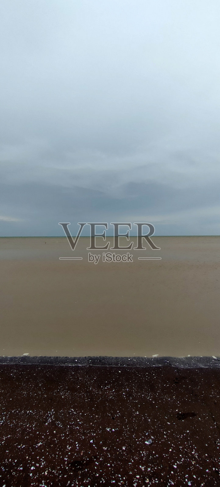 棕海喜欢牛奶巧克力照片摄影图片