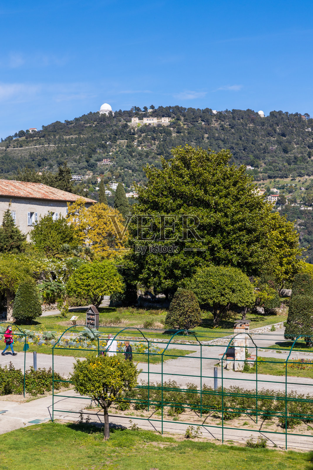 尼斯西米兹修道院的花园照片摄影图片
