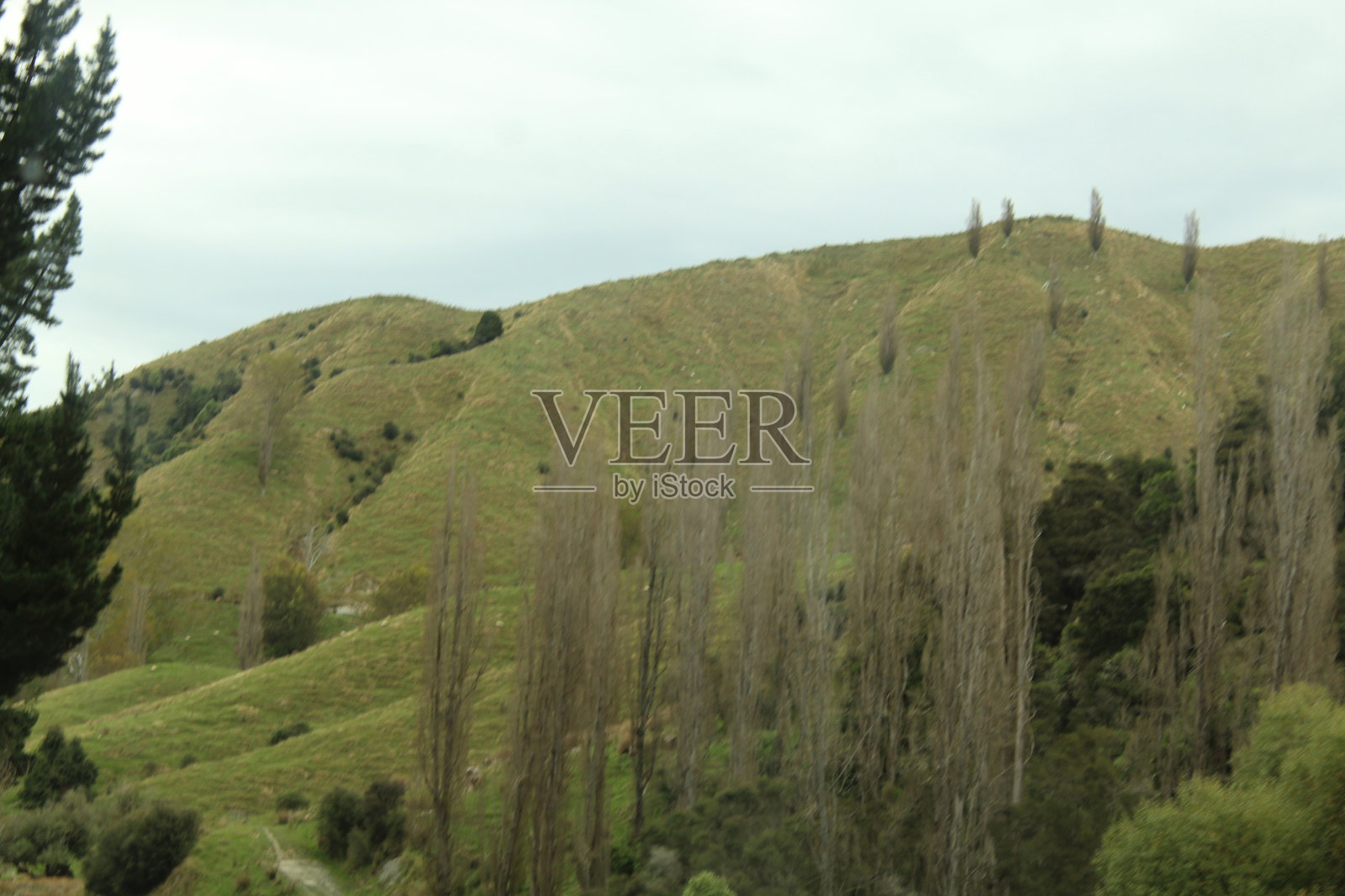 新西兰航线照片摄影图片