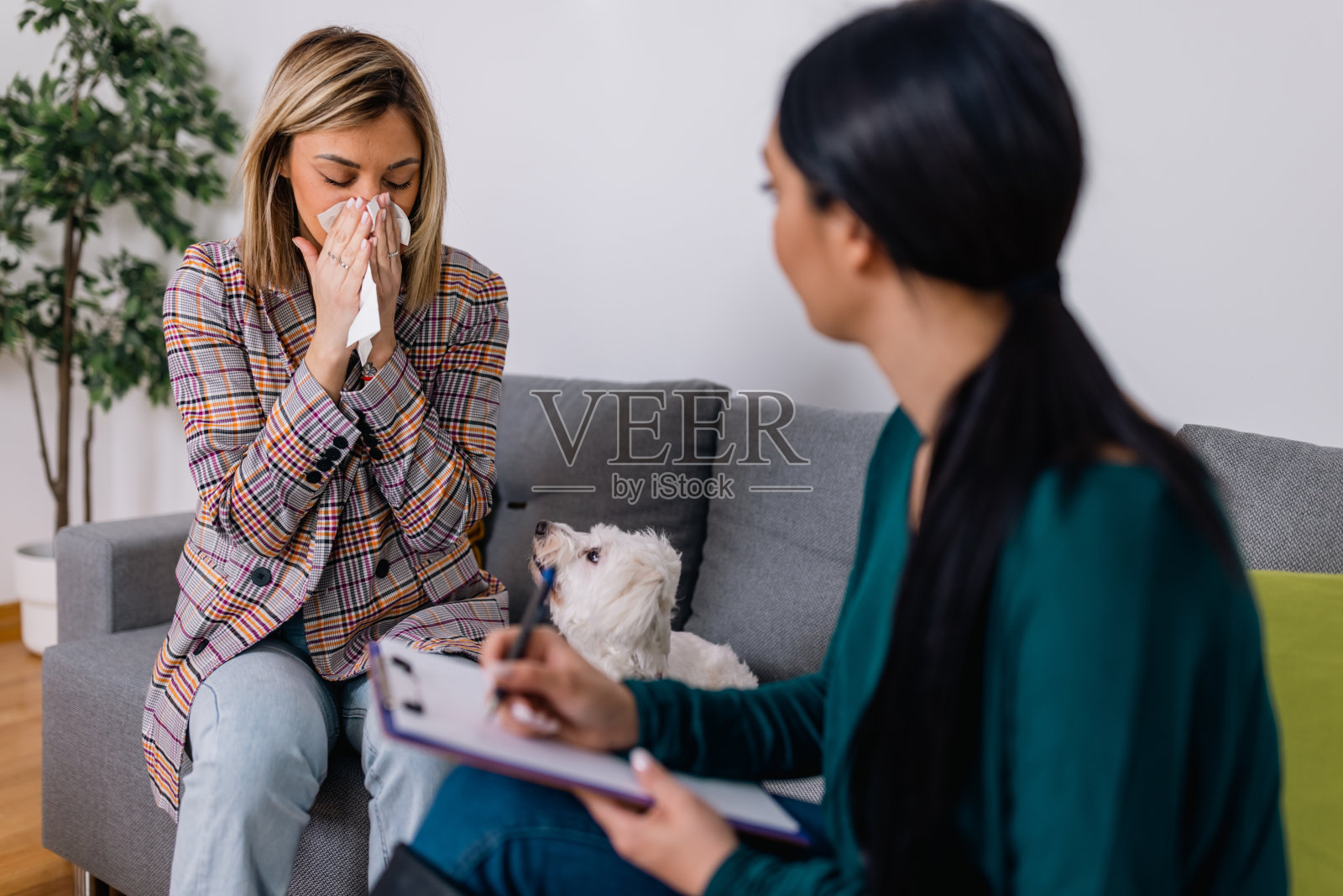 这位年轻女子毛茸茸的朋友有助于她的康复过程照片摄影图片