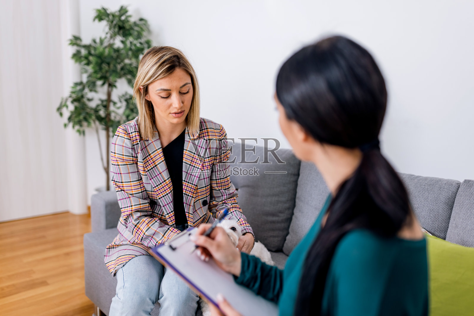 年轻女子、她的狗和心理治疗师一起为幸福而努力照片摄影图片