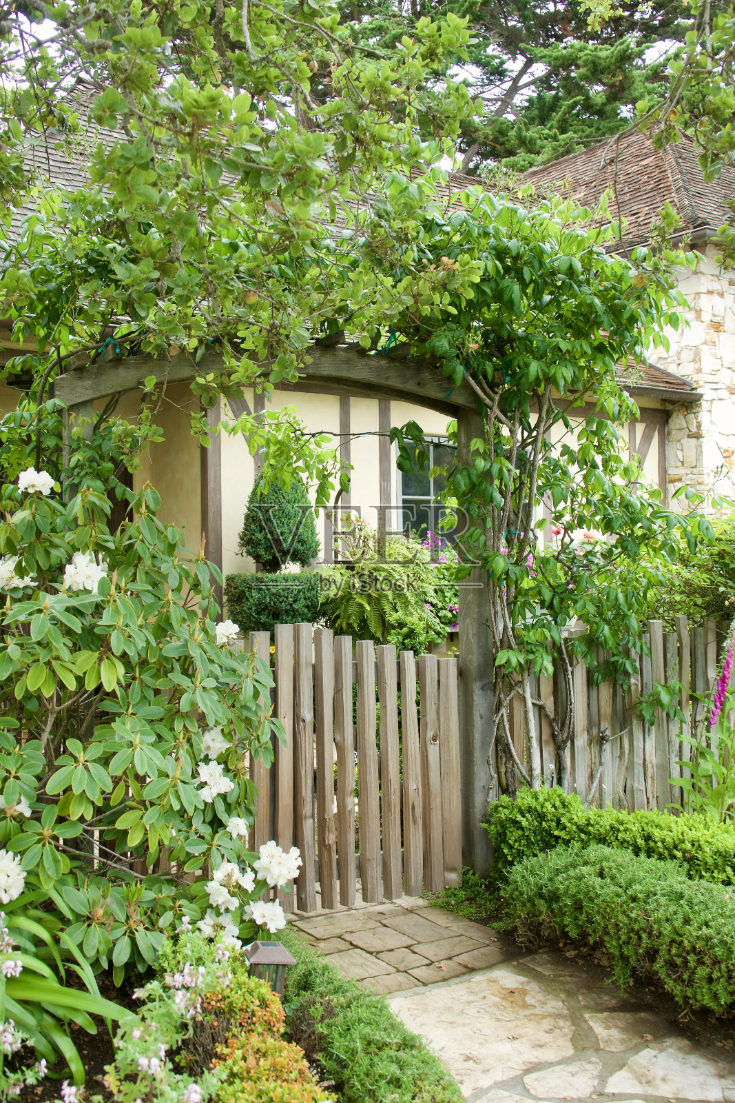 迷人的花园大门，有格子和漂亮的花朵照片摄影图片