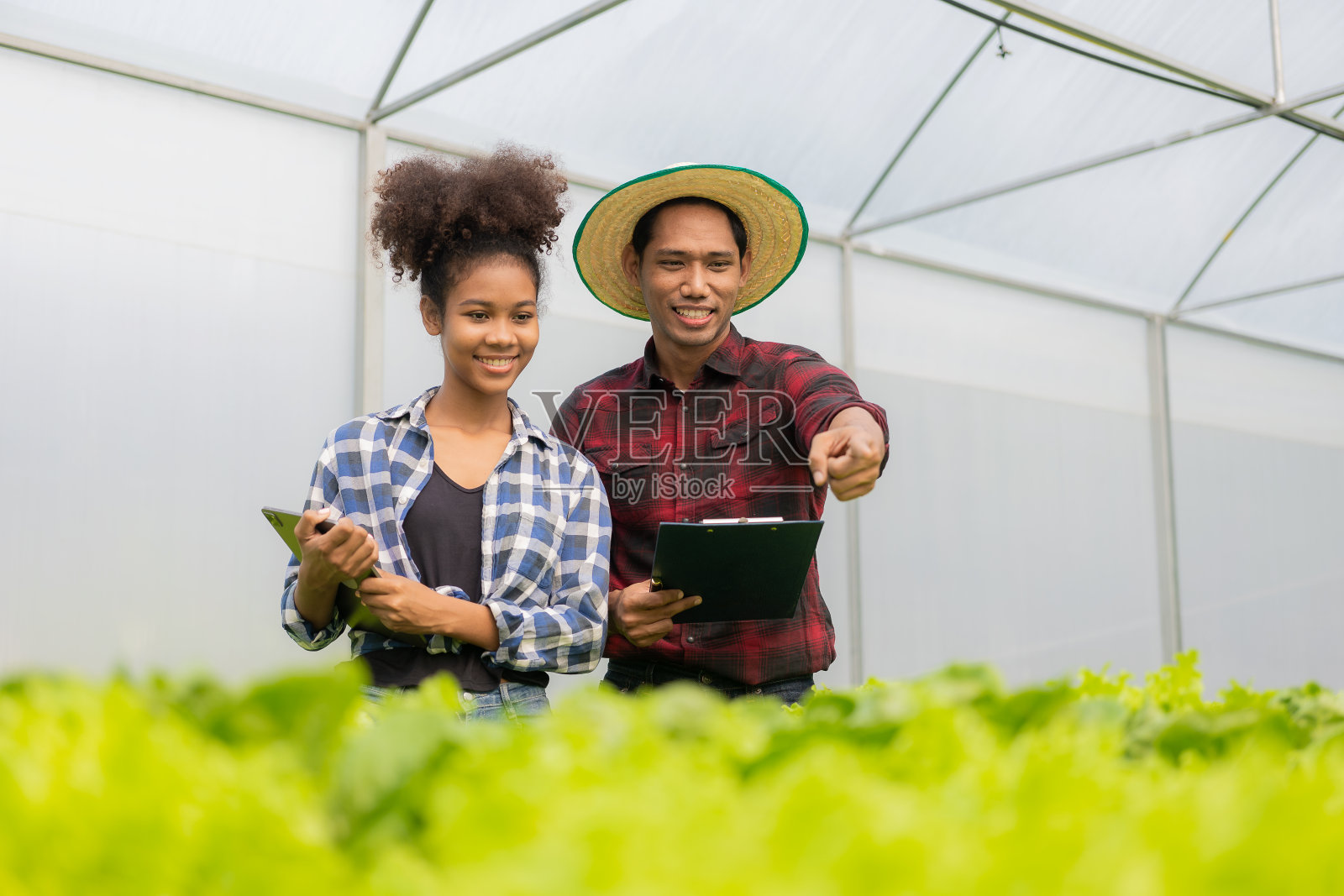 两个在水栽蔬菜农场工作的亚洲园丁拿着平板走着检查蔬菜收割情况，一男一女农民拿着绿色沙拉盒在农场里微笑着看着镜头照片摄影图片