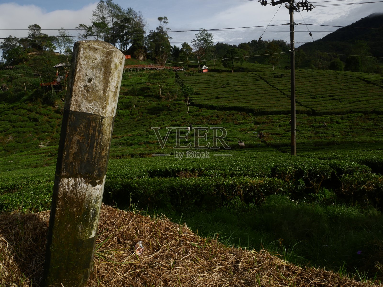 路边安全杆略斜照片摄影图片